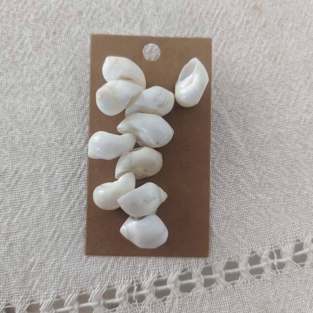 Vintage Seashells Earrings